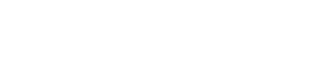 de.solutions